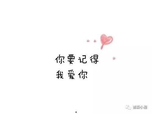 我走了你才说爱我