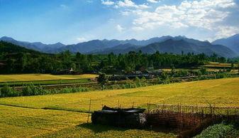 乡村女人花,绽放的坚韧与美丽